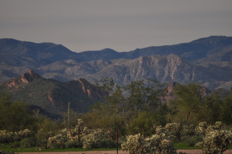 the Bradshaw Range